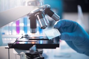 universo biomedicina
